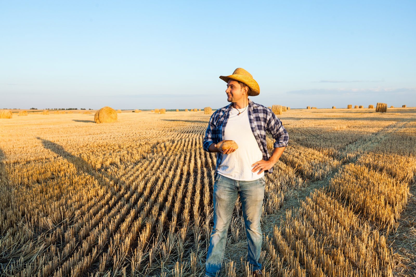 Agroindustria